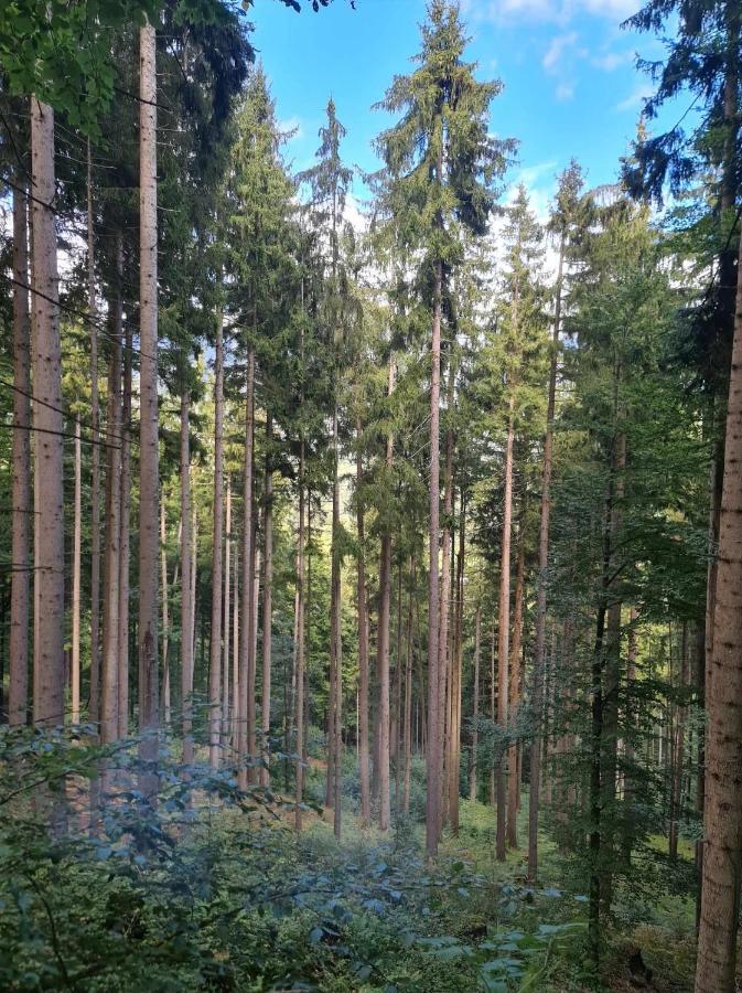 Appartement 4 Season Hermagor-Pressegger See